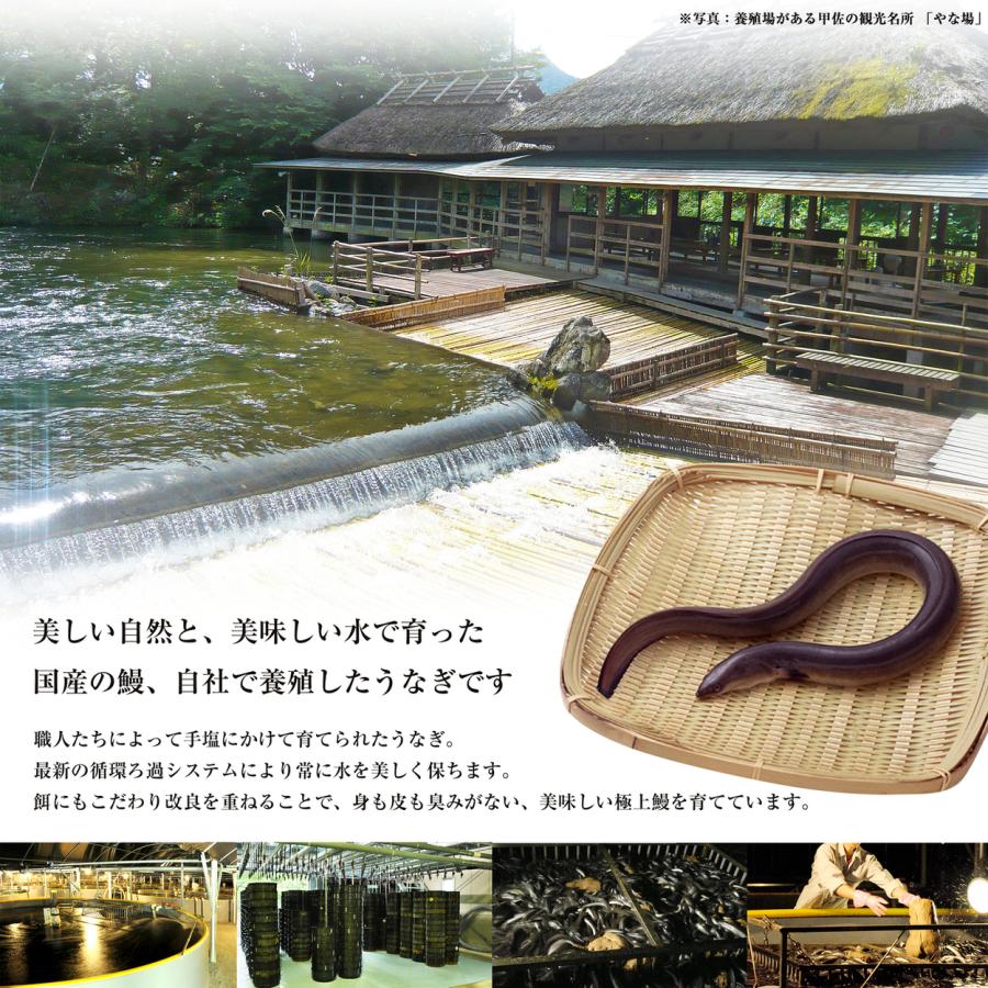 うなぎ 白焼き ハーフカット 1パック60g 国産うなぎ 熊本県産　お中元 父の日