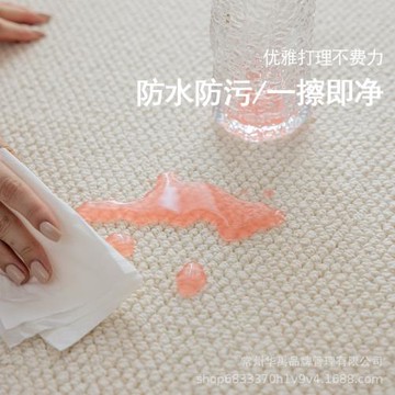 純色奶油風客廳地毯免洗可擦防水防污菠蘿圈臥室沙發茶幾毯家用