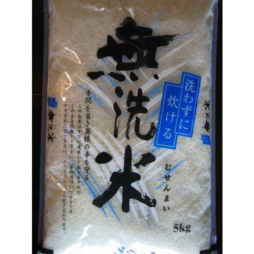 佐賀県産 白米 夢しずく 5kg×2 令和4年産