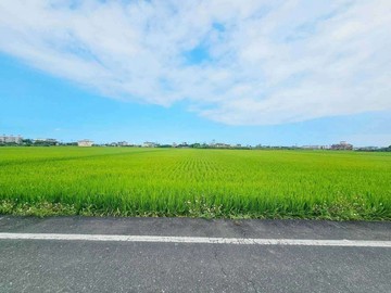 礁溪玉田大面寬水岸453漂亮小農地｜宜蘭縣礁溪鄉玉田一段