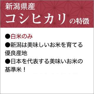 新米 令和5年(2023年)産 新潟県産 コシヒカリ 10kg（2kg×5袋）（白米）