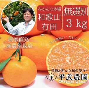 有田みかん 家庭用3kg 平武農園 農家直送