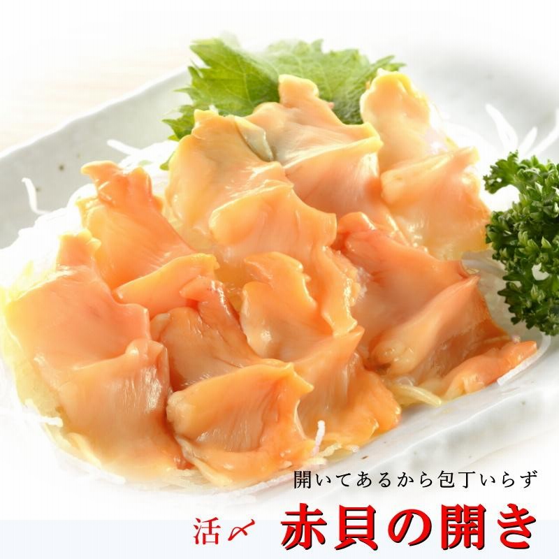 赤刺身品 Bluefin Tuna Sashimi / 本まぐろ 赤身刺身(4切) / 金枪鱼 赤身