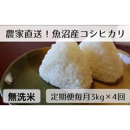 ふるさと納税  無洗米3kg　新潟県魚沼産コシヒカリ「山清水米」 新潟県十日町市