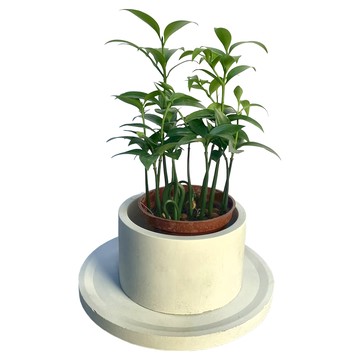 中圓底水泥盆  10.5 x 9cm  水泥白  1個