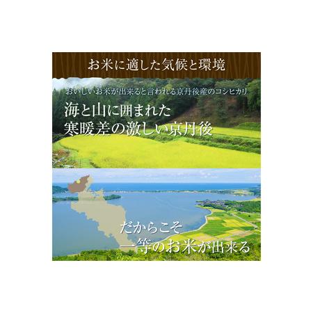 ふるさと納税 令和5年産 新米 1等米 丹後こしひかり 美白精米 1.5kg(2合×5袋) 京都府京丹後市