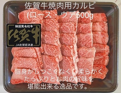 佐賀牛 焼き肉セット500g×2パック：B036-010