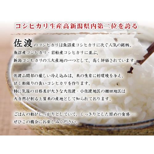 新潟県産 佐渡産コシヒカリ 白米 5kg 令和5年産