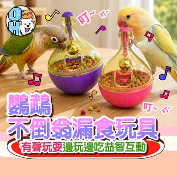 【歐豆K】鸚鵡不倒翁漏食玩具 不倒翁玩具 寵物漏食玩具 不倒翁漏食球 益智玩具 藏食玩具 兔子漏食球 小寵玩具 寵物玩具