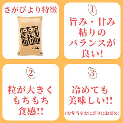 ふるさと納税 伊万里市 さがびより白米5kg・夢しずく白米5kg(計10kg)(伊万里市)全6回