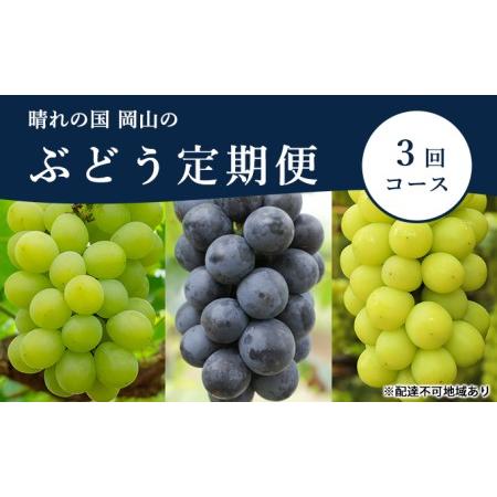 ふるさと納税 ぶどう 定期便 2024年 先行予約 晴れの国 岡山 の ぶどう定期便 3回コース 葡萄 ブドウ 岡山県産 国産 セット ギフト 岡山県瀬戸内市