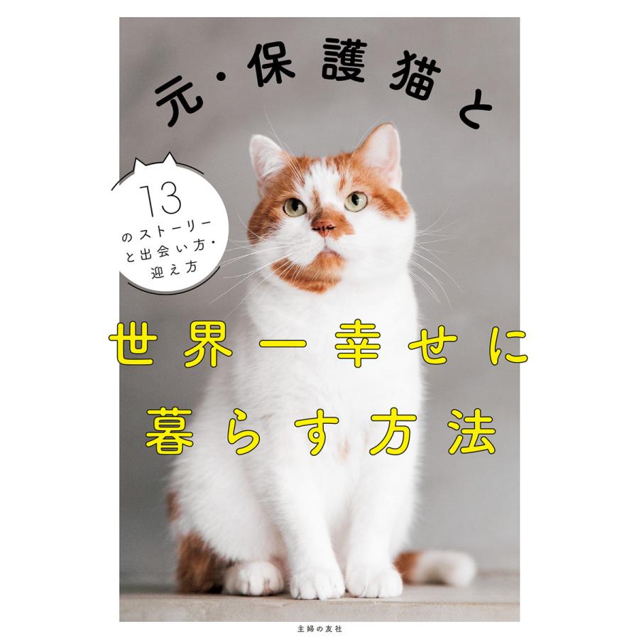 元・保護猫と世界一幸せに暮らす方法 主婦の友社