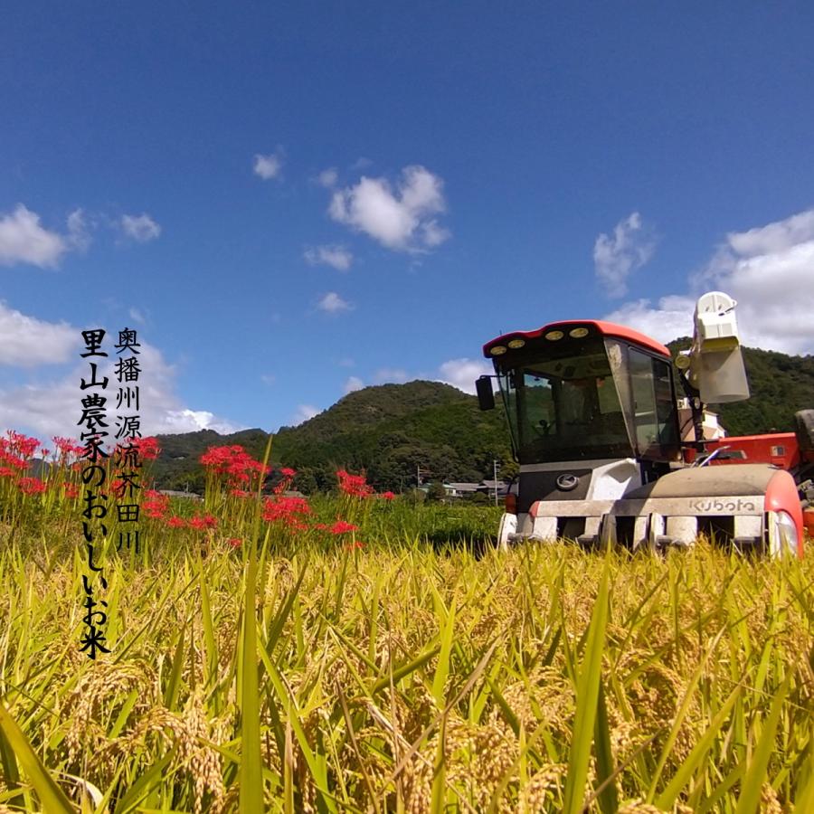 新米 お米 10kg 送料無料 玄米にてお届け 清流ひのひかり芥田川 令和5年産 生産農家 産地直送便 石抜き処理済み 玄米食 ギフト 贈答