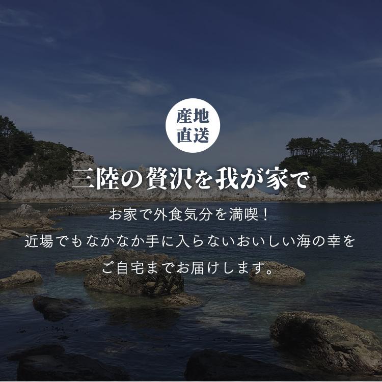 たこと海藻セット 三陸産 代引不可 三陸未来