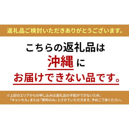 ふるさと納税 北海道 滝川市 北海道滝川市産ミニトマト(赤) 約1.1kg