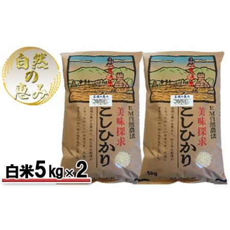 ふるさと納税 自然農法米こしひかり「自然の恵み」白米5kg×2個《特別栽培米》 石川県能美市