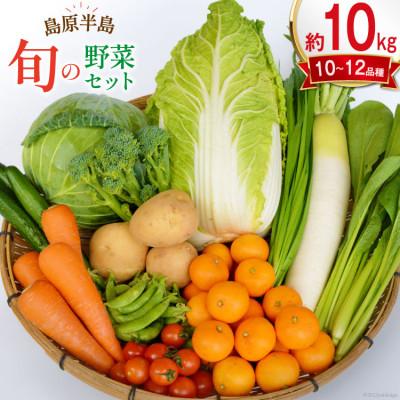 ふるさと納税 雲仙市 島原半島産こだわり旬の野菜セット10品〜12品