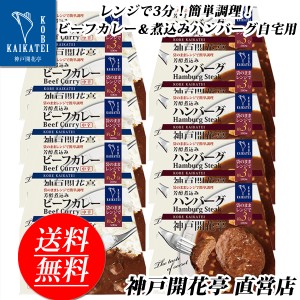 レトルト食品 詰め合わせ レトルトカレー 中辛 ハンバーグ 10食 レトルト おかず 惣菜 食品 セット 神戸開花亭 常温保存 のし・包装不可