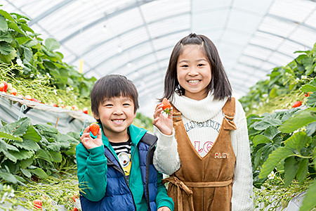 佐賀県産 れんこんと紅白いちごのセット：B025-009