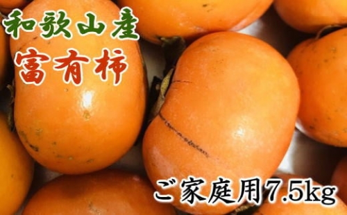 和歌山産富有柿ご家庭用約7.5kg※2023年10月下旬～12月上旬ごろ順次発送