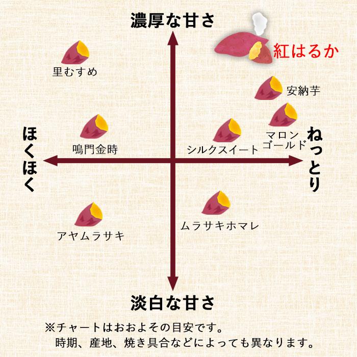 スプーンで食べるさつまいも 小分け焼き芋 6袋 6人前 サツマイモ さつま芋 やきいも 紅はるか スイーツ デザート お菓子 おやつ 国産 お手軽 簡単 鹿児島県