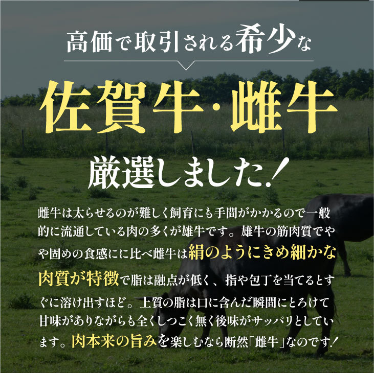 産地直送 「佐賀牛A5雌牛すき焼きサーロイン 500g 割り下付」九州 お取り寄せ 黒毛和牛 ブランド牛 雌牛 A5等級 艶さし 霜降り サーロイン 送料無料