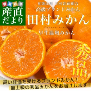 和歌山県より産地直送 田村出荷組合 田村みかん（早生温州みかん） 秀品 L～Sサイズ 5キロ（40玉から60玉前後）送料無料 有田 柑橘