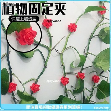 【園藝固定】植物固定器 園藝輔助器 植物莖收攏架 綠蘿爬牆器 藤蔓固定器 無痕牆上攀爬支架 隱形花架 室內綠植支架