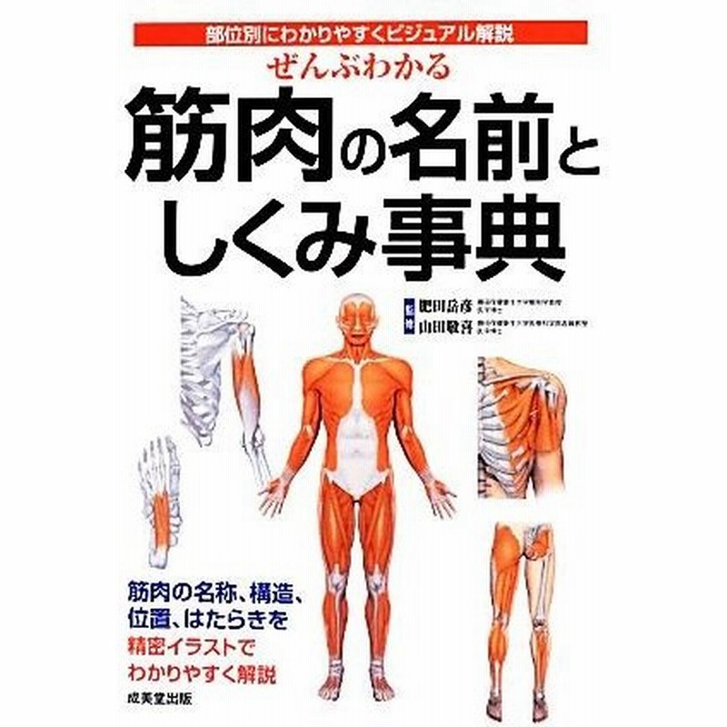 ぜんぶわかる筋肉の名前としくみ事典 部位別にわかりやすくビジュアル解説 肥田岳彦 山田敬喜 監修 通販 Lineポイント最大0 5 Get Lineショッピング