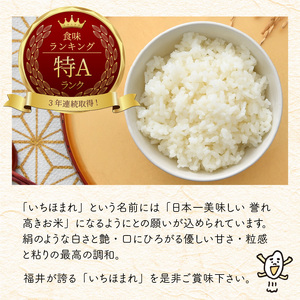 定期便 ≪2ヶ月連続お届け≫ 福井県のブランド米 いちほまれ 無洗米 10kg × 2回 計20kg  [D-6152]