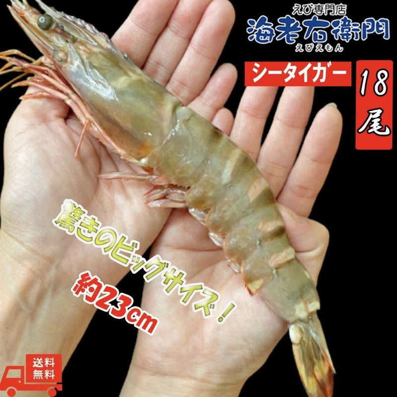 反物 浴衣 ふるさと納税 海鮮食べ比べ! えび ・ ほたて 海鮮セット ボタンえびメスLサイズ 500g + L・Mサイズ厳選 野付産特大ホタテ貝柱 1kg( えび 海老.. 北海道別海町 通販 ふるさと納税 海鮮食べ比べ!えび ・ ほたて 海鮮セット ボタンえびメスLサイズ 1.5kg + L・Mサイズ厳選 野付産特大ホタテ貝柱 2kg( えび 海老.. 北海道別海町