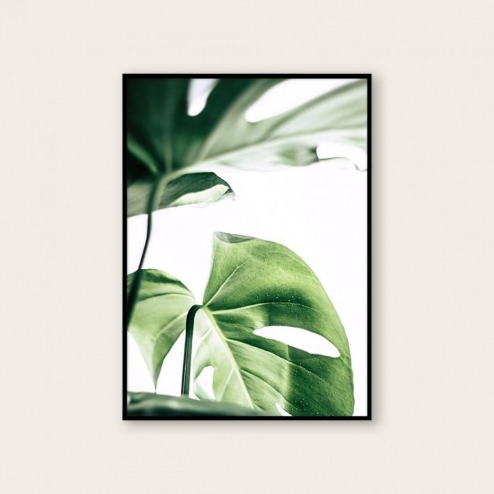 NOUROM MONSTERA #2 アートプリント ポスター (50x70cm)