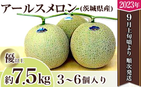 12-3茨城県産アールスメロン約7.5kg（3～6個）