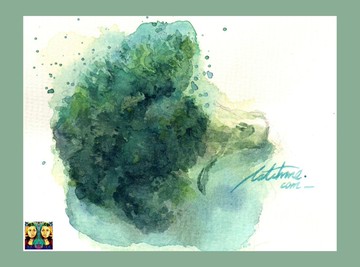 花椰菜_手繪原作(僅此一件)