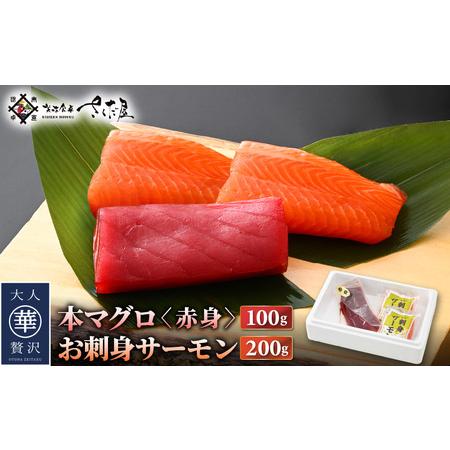 ふるさと納税 お刺身 セット サーモン 100g × 2P ＆ 本まぐろ 赤身 100g × 1P 【福井県 冷凍 小分け 刺身 アトランティックサーモン .. 福井県越前町