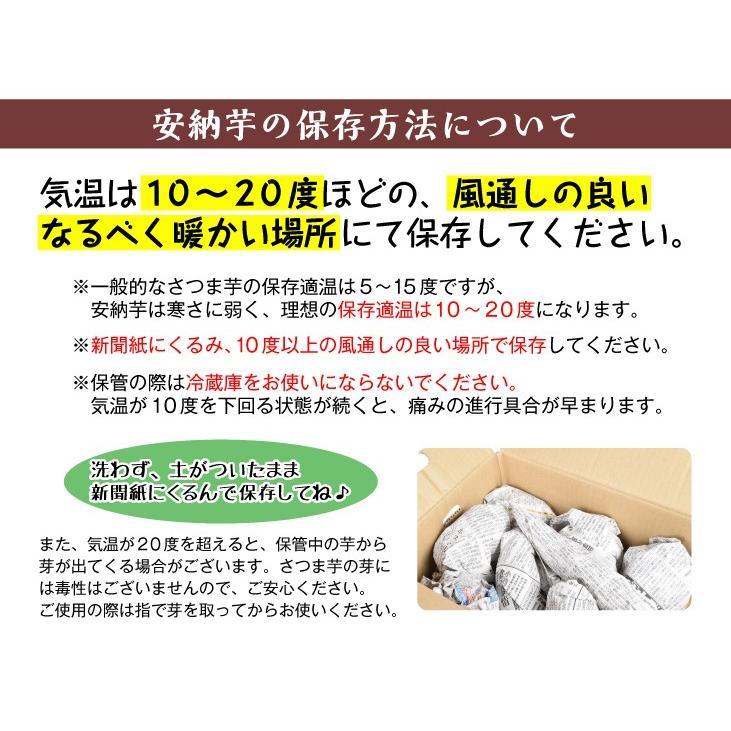 さつまいも 3kg 安納芋・極ちび 種子島産 ご家庭用 送料無料 食品