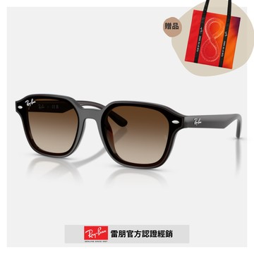 【RayBan 雷朋】方形膠框漸層太陽眼鏡(RB4458D-714/13 65mm)