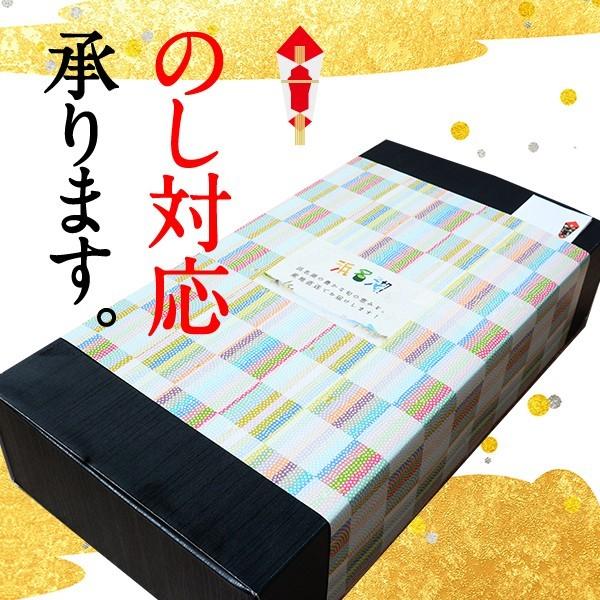 うなぎ 蒲焼き 国産 浜名湖産 特選浜名湖うなぎ蒲焼き10尾セット