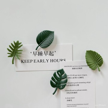 ✨臺灣有貨✨免運✨仿真樹葉冰箱貼文藝清新龜背竹磁性貼創意立體ins風廚房家居裝飾 QU8V