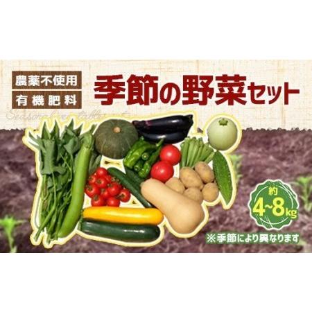 ふるさと納税 栽培期間中農薬不使用・有機肥料で育てた 季節の野菜セット 約4〜8kg 大分県竹田市