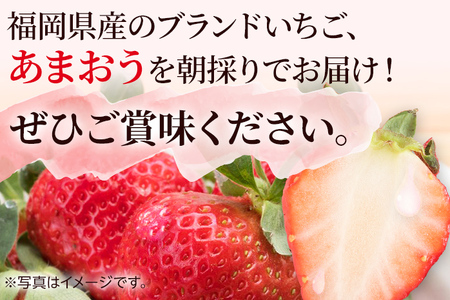 農家直送 朝採り新鮮いちご [(約270g)×2パック]＜2023年12月以降順次出荷予定＞