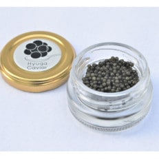 日向キャビア(Hyuga Caviar)10g (冷凍・フレッシュキャビア)