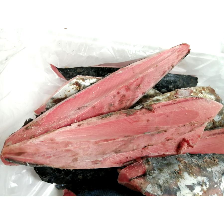 東沖2.5上 一本釣り とろかつお 皮付き 3kg 約10本 お刺身 お寿司 かつお カツオ 鰹 かつおたたき トロカツオ