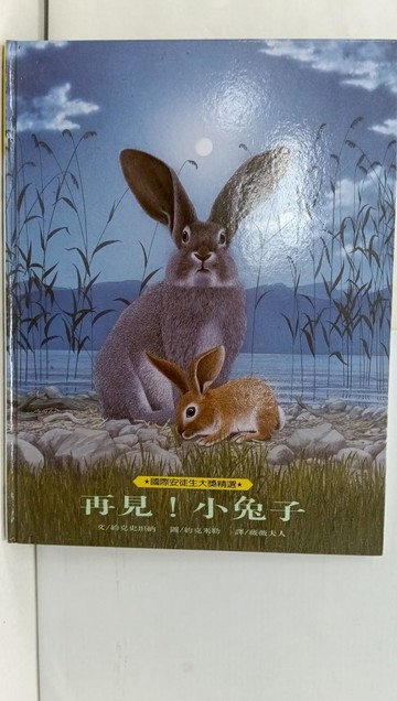 【書寶二手書T1／少年童書_Y79】再見!小兔子_約克史坦納文; 約克米勒圖; 微微夫人譯