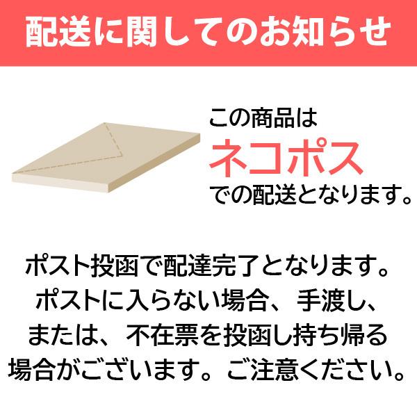 送料無料 半生 讃岐うどん 200g×2袋 つゆ付き ポスト投函 かけ ぶっかけ ざる しょうゆ 釜あげ 釜玉 香川県