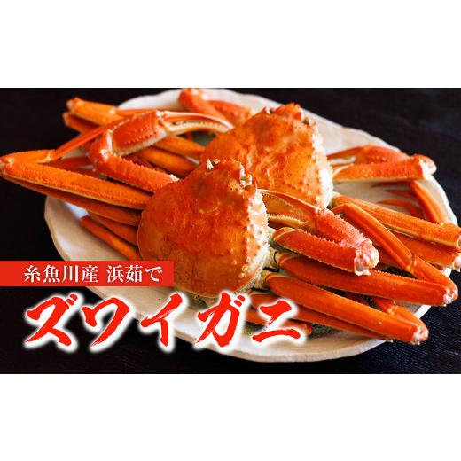 ふるさと納税 新潟県 糸魚川市 日本海直送『本ズワイガニ』500ｇ以上 2杯 計1kg 姿 茹でたてをお届けします