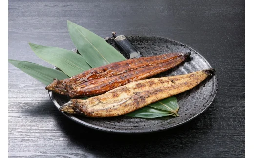 うなぎの白焼・蒲焼セット　（特大サイズ　一尾　170g～200g）