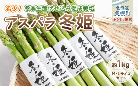 希少!冬期生産伏せ込み促成栽培アスパラ「冬姫」M～L　約1kg アスパラ グリーン 野菜 健康 北海道 美幌町 送料無料 BHRG070