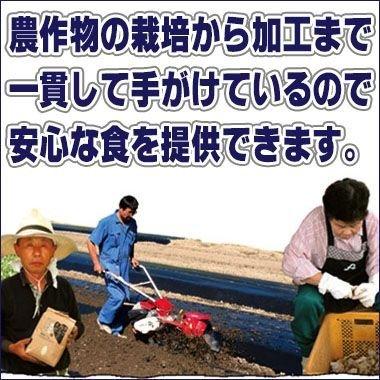 国産熟成黒にんにくMサイズ5球入（送料無料）