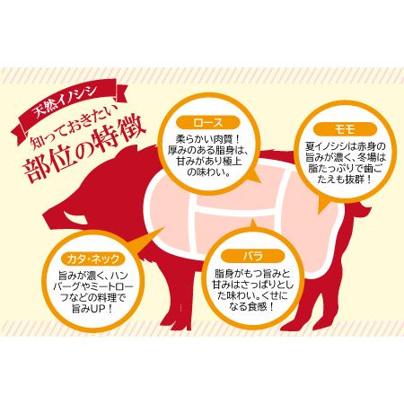 ふるさと納税 おおち山くじら（イノシシ肉）味噌すき鍋セット400g 島根県美郷町